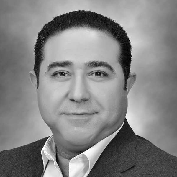 Dr. Ahmed Ali Abdel-Hafez